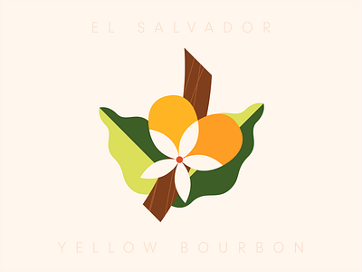 Single Origin Coffees bourbon bourboncoffee cafe coffee el salvador guatemala illustration red single origin vector yellow