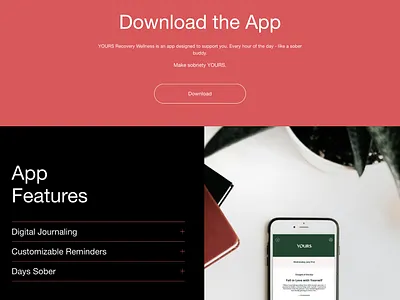 Brand Identity & Website Design brand design brand identity branding color palette design graphic design logo typography website design