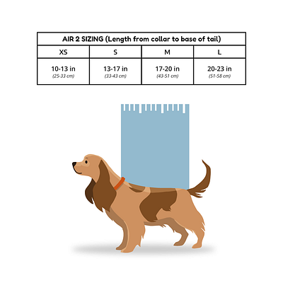 Sizing Guide branding graphic design