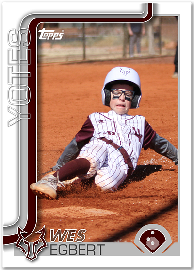 Baseball Card Design branding design graphic design illustration logo