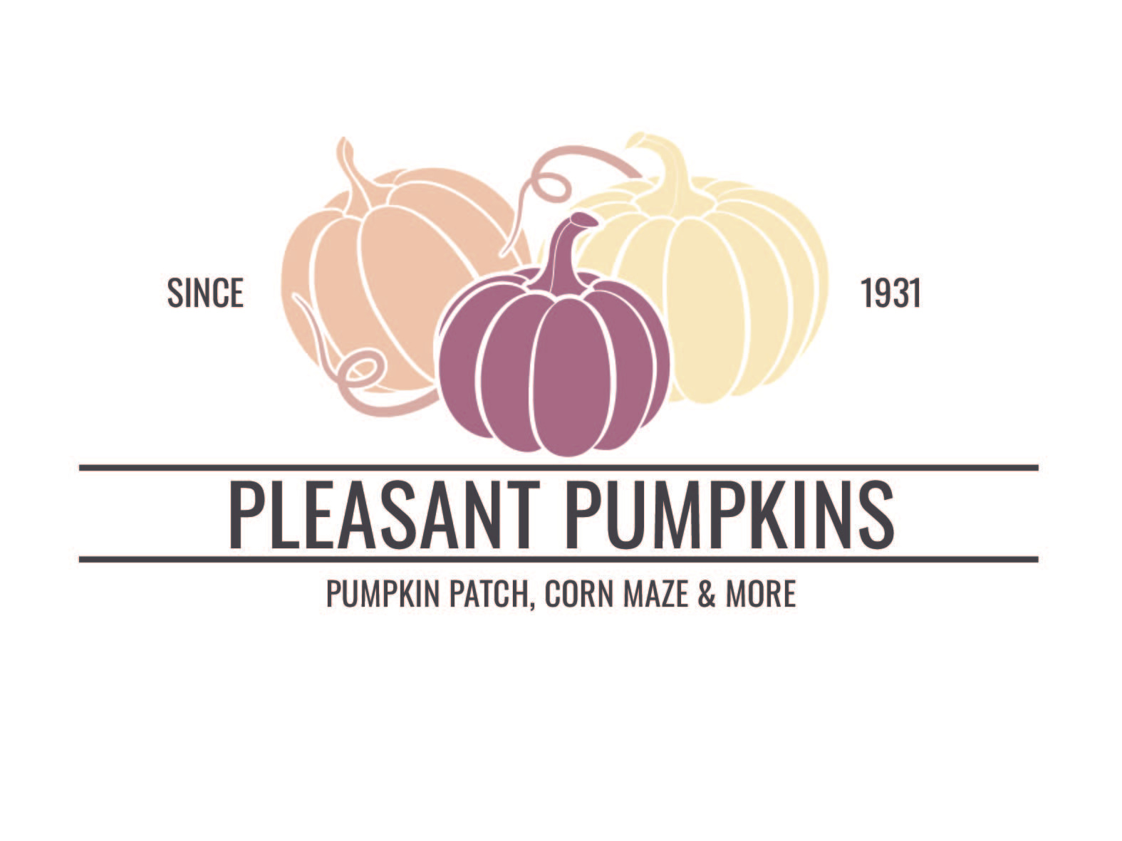 Pumpkin Patch Logo by Katelyn Benz on Dribbble