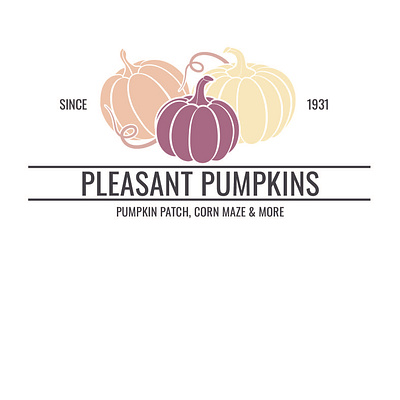 Pumpkin Patch Logo branding design logo