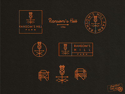 Ransom's Hill Farm adobe illustrator agriculture brand identity branding clean creative farm fun graphic design logo minimal modern orange pineapple plant responsive shape simple vector visual identity