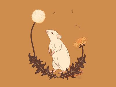 Chinese Zodiac – Rat animal dandelion illustration