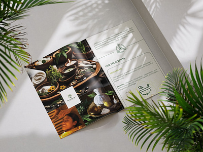 Design Work - Brochure and Posters branding graphic design