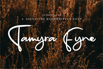 Tamyra Fyne - Bold Handwritten branding business font chic font cursive font editorial font elegant font feminine font flowing font font handwritten font luxury font minimalist font modern modern font natural font organic font signature font stylish font typeface typography