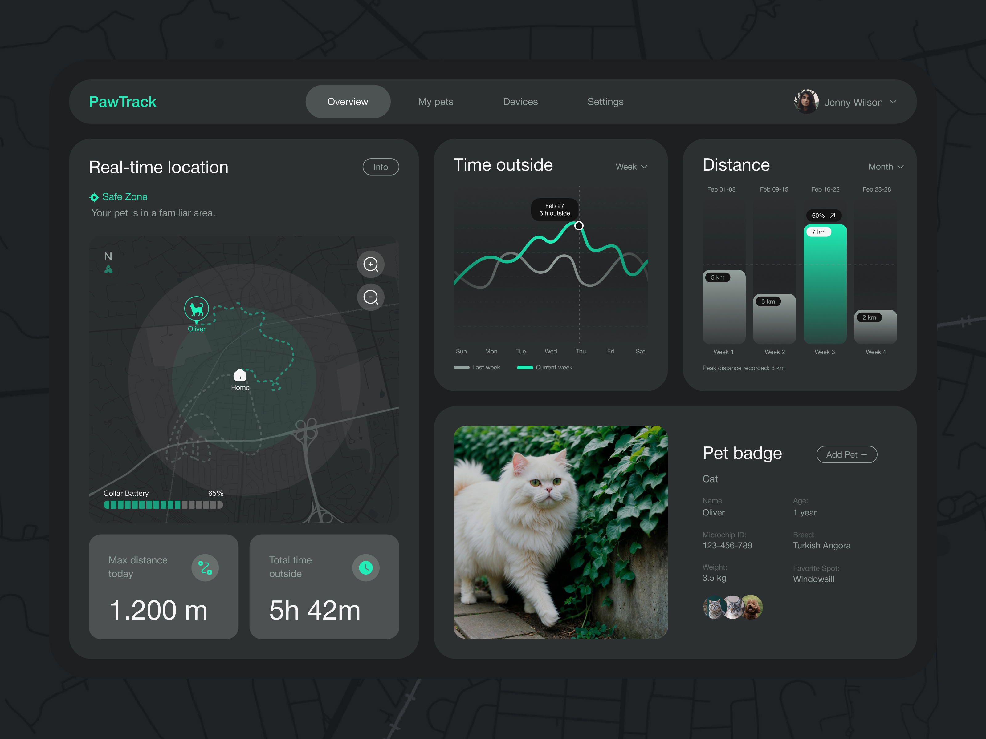 Pet Tracking Dashboard concept dark dashboard design location map pets product design smart tracking ui uiux ux web