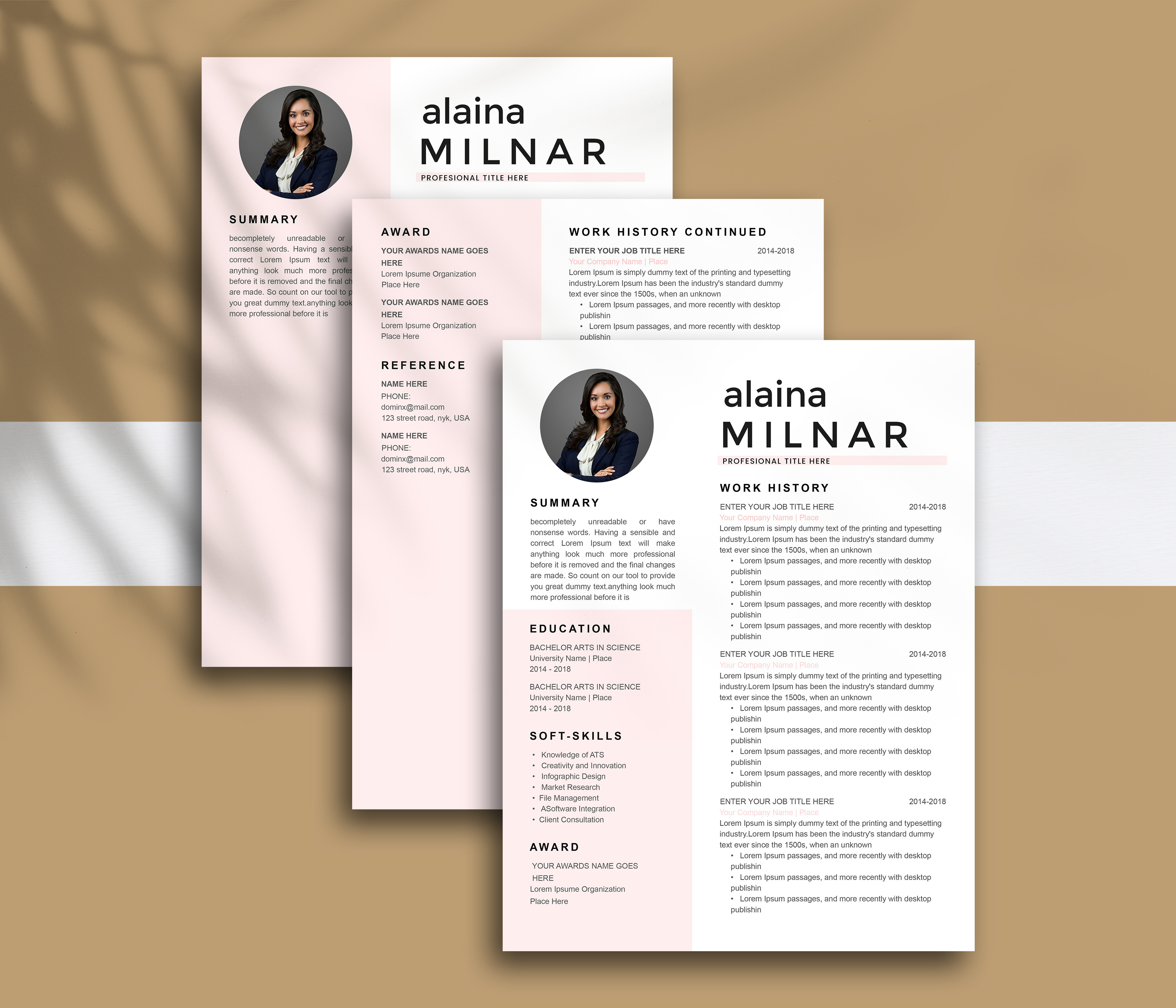 Example of I Will Design Or Redesign Your Resume