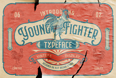 Young Fighter Vintage Display design font fonts letteing typeface vintage