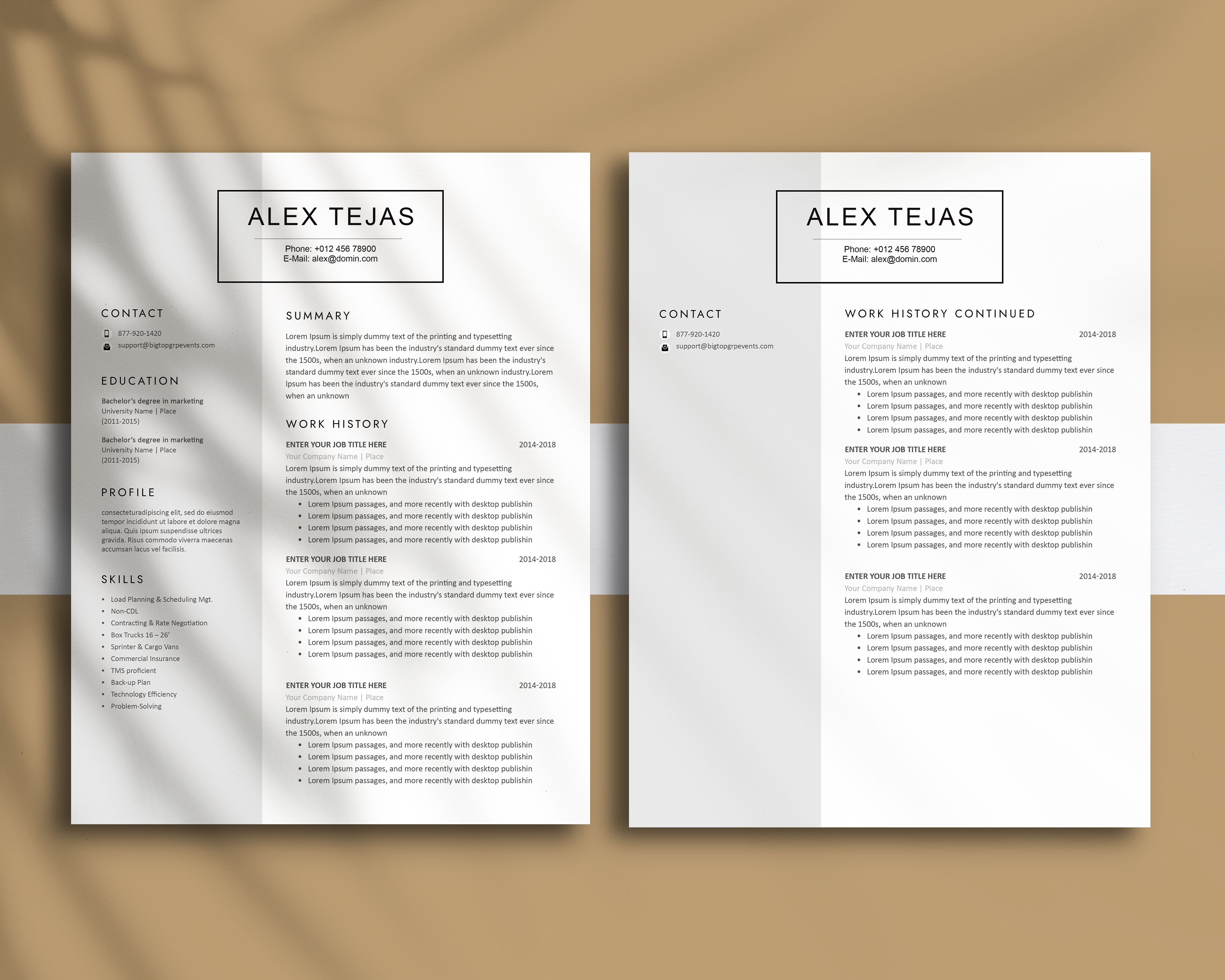 Resume Template MS Word CV Template Professional