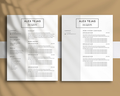 Resume Template MS Word CV Template Professional