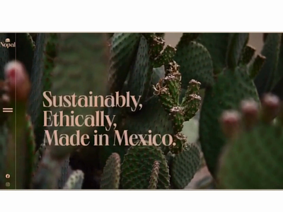 Nopal- Cactus Leather Concept brand concept brand identity cactus leather desert horizontal scrolling landing page pink and green serif southwest southwest design startup sustainable fashion sustainable startup ui vegan leather web design website design