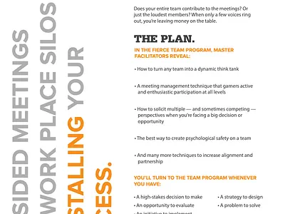 Fierce Flyer Concepts branding design illustrator layout typography