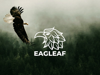 Eagle and Leaf Logo Design brand branding color design eagle eagle leaf logo eagle logo illustration leaf leaf logo logo prio hans typography vector