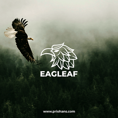 Eagle and Leaf Logo Design brand branding color design eagle eagle leaf logo eagle logo illustration leaf leaf logo logo prio hans typography vector
