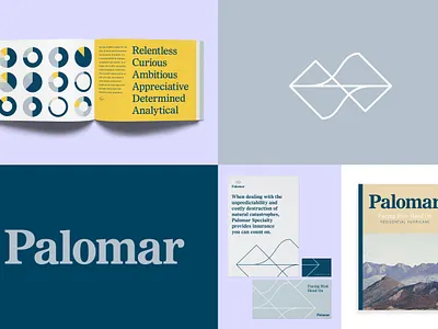 Palomar brand branding data design insurance mountain nature