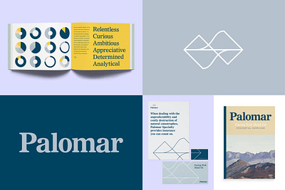 Palomar brand branding data design insurance mountain nature