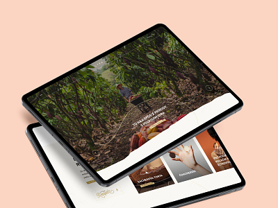 LYRA – Case study case study chocolate cocoa natural nature scrolling textured web webdesign website