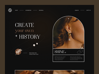 Shine Website interface product service startup ui ux web website