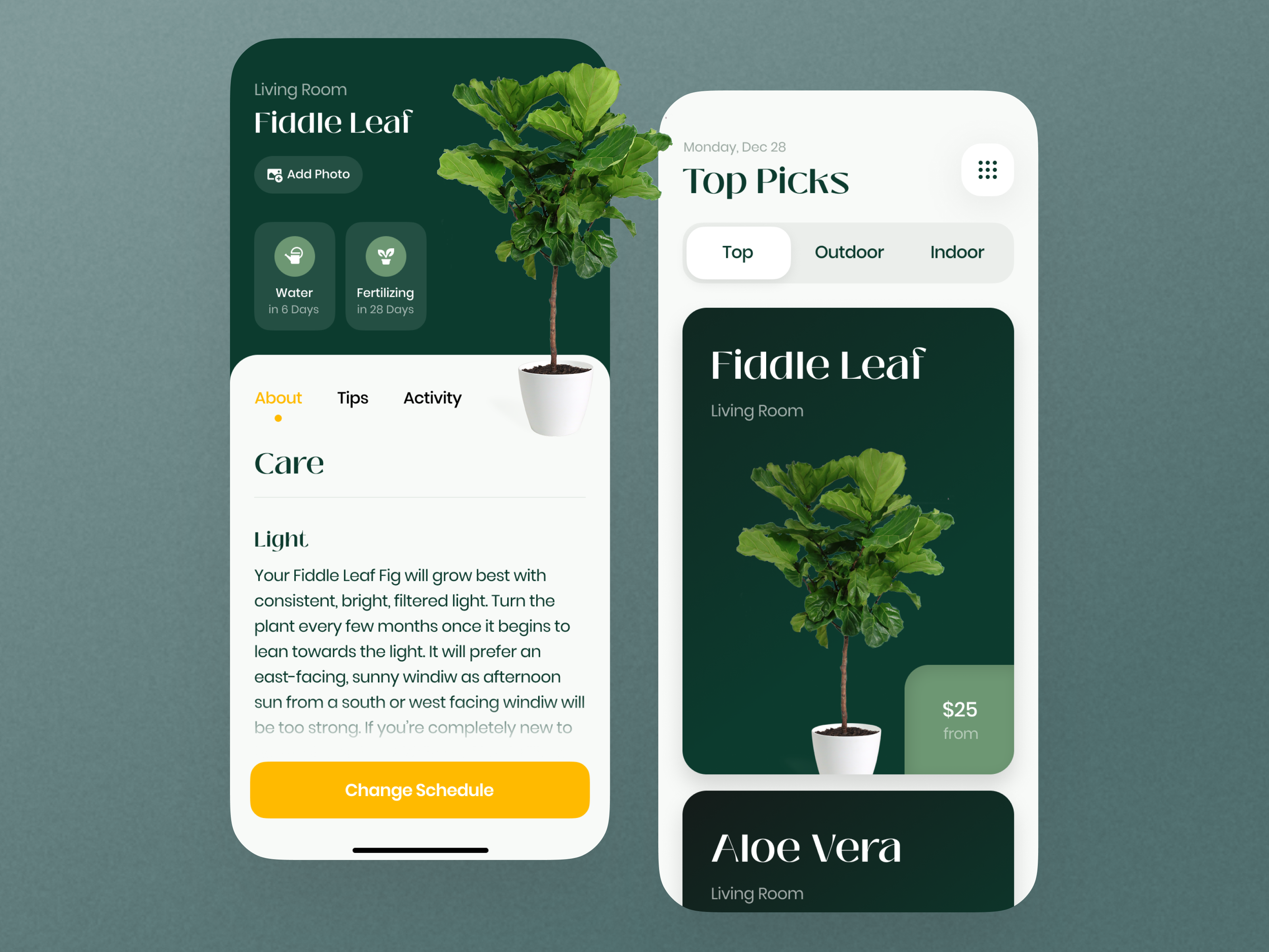 Vera Plant Growing App - Redesign