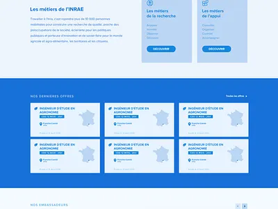 Wireframe INRAE Jobs - UX design jobs searching ui user flow ux web webdesign website