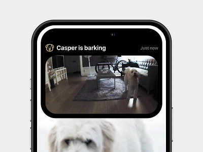 Apple Dynamic Island Concept - Dog video alert animal apple camera concept dog dynamic island dynamic island concept hardware innovation interaction interaction design ios 16 iphone 14 live stream notch operating system pet redesign surveillance video app