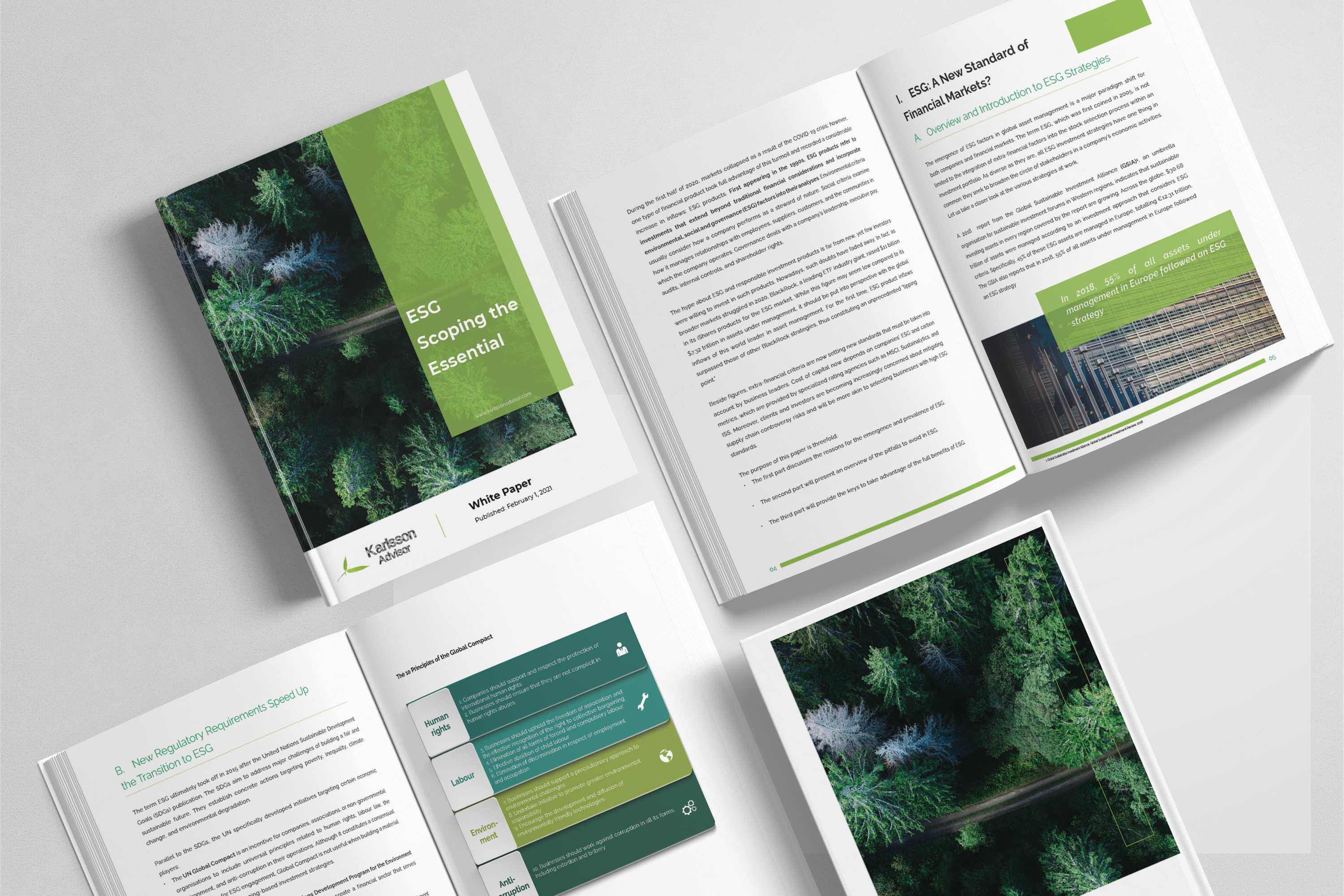 Example of Professional Whitepaper Design