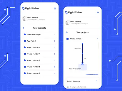 Digital Colliers - Organisation App app dashboard ui design development icon interaction interface minimal mobile mobile app organisation ui ux webdesign