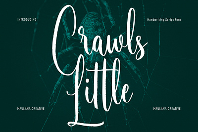 Little Crawls Script Font 3d animation branding calligraphy design font fonts graphic design illustration logo motion graphics nostalgic script signature ui