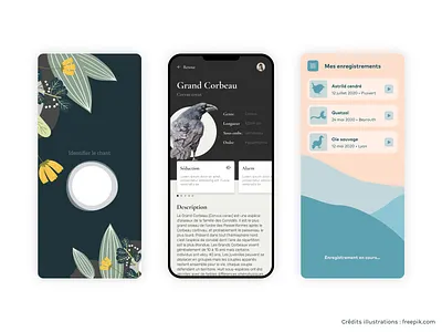 Birdsong identification app concepts app bird illustration birds concept design design mobile moodboard ui uidesign