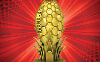 Goldstruck - Pineapple Football Trophy artwork beer beer art brand branding design digital art football gold illustration logo package package design packaging photoshop product design vector