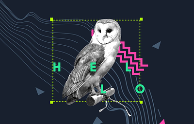 42px Workshop Visual - Owl after effects animation branding design graphic design illustration motion graphics vector