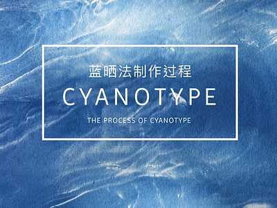 Cyanotype photography