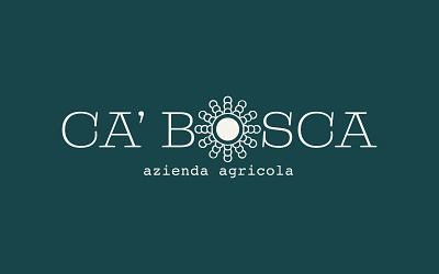 Ca Bosca branding design graphic design graphicdesign label design logo packaging wine label