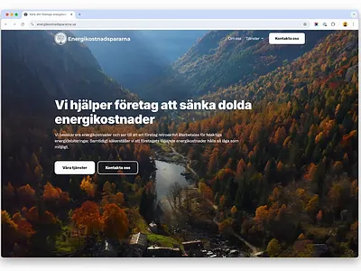 Webpage - Energy consultant brucy consult page energy consultant video video landing page