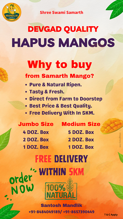 Mango Flyer | Fruit social media post design | Mandlik Ambewale yellow natural alphonso mango