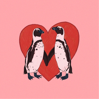 Penguin Valentine animals card card design drawing graphic design hand illustration illo illustration love nature penguins procreate traditional traditional art valentines day