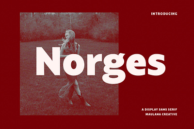 Norges Sans Serif Font 3d animation branding design display font font fonts graphic design illustration logo motion graphics nostalgic sans sans serif ui