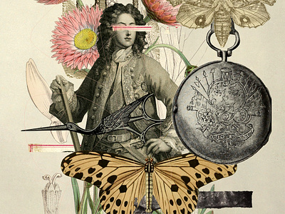 Illustration // Digital Collage collage digital collage history history of natural history illustration photoshop victoriana