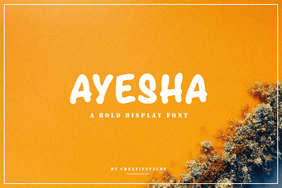 Ayesha Display Font bold branding creative font fonts illustration modern