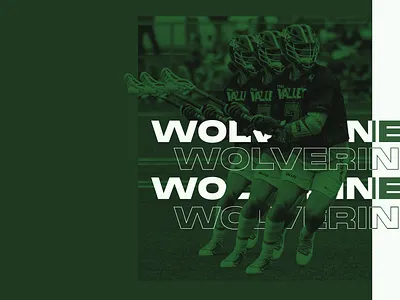 Wolverines branding design graphic design typography