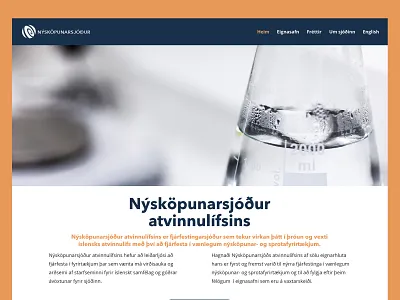 New Business Venture Fund design graphic design ui ux web design