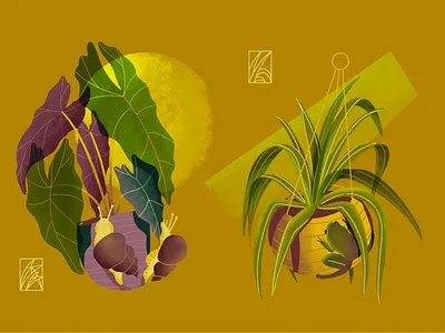 Home garden botanıcal garden illustration illustrator plant procreate