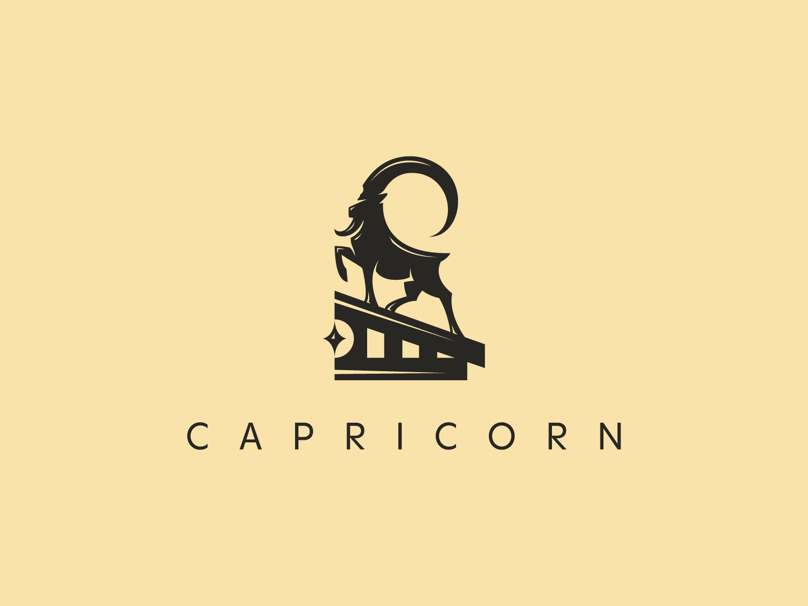 Example of Logo Package