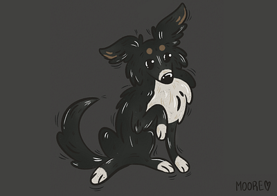 Border collie illustration animal illustration border collie children illustration corder collie illustration dog dog illustration procreate