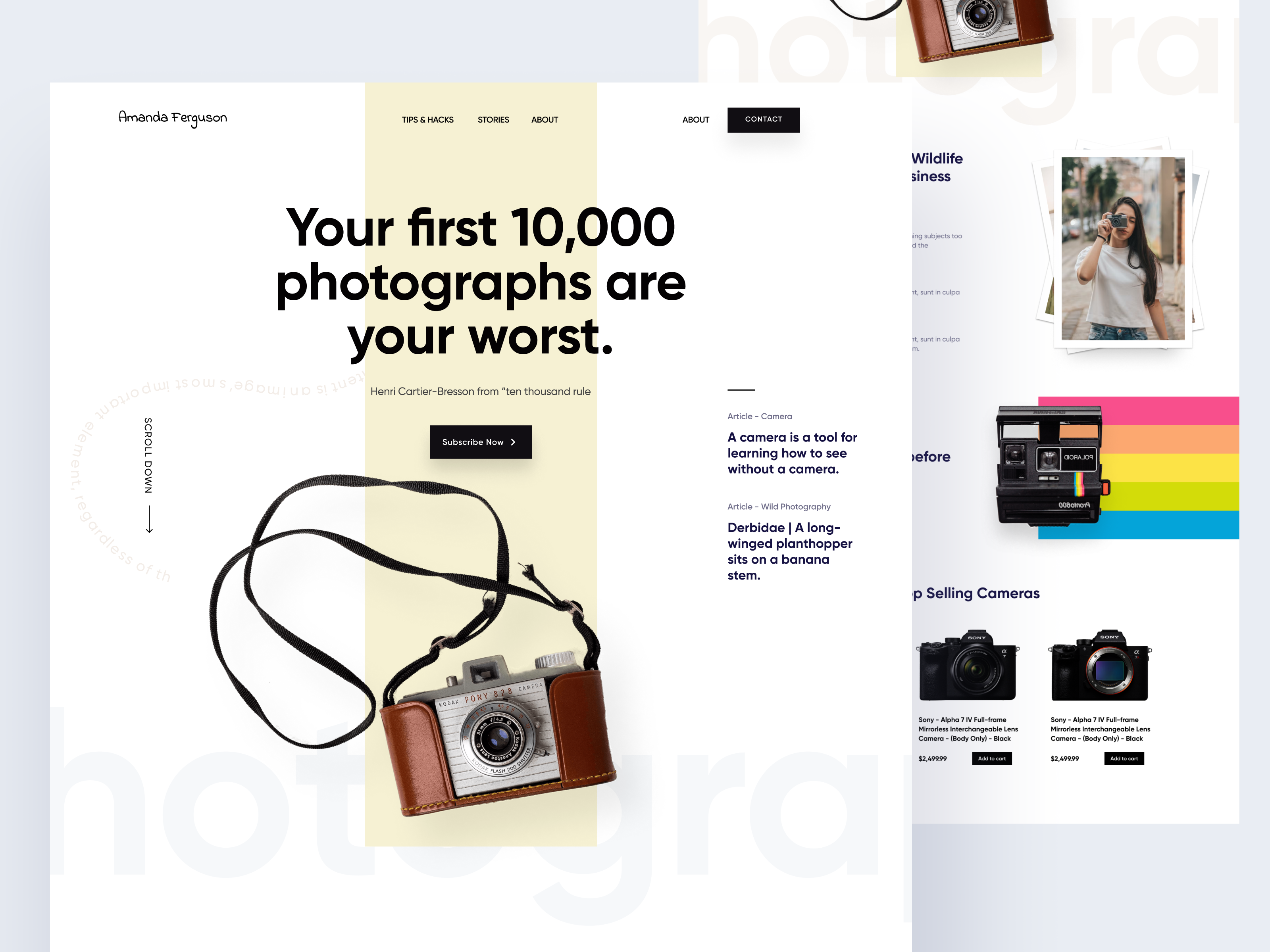 Example of Website Design That Stands Out In Crowd