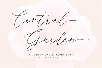 Central Garden Font beauty font calligraphy elegant font font handwritten lettering script script font wedding font