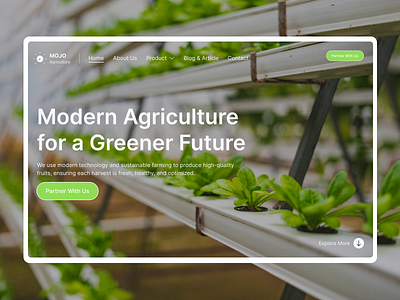 Mojo Agriculture – Modern Agriculture, For a Greener Future agricultural farmer fresh harvest green minimalist modern modern farming smart farming sustainable future ui ui design web website