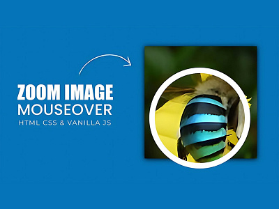 Mouseover Zoom Effect css css3 divinectorweb frontend html html5 javascript zoom effect