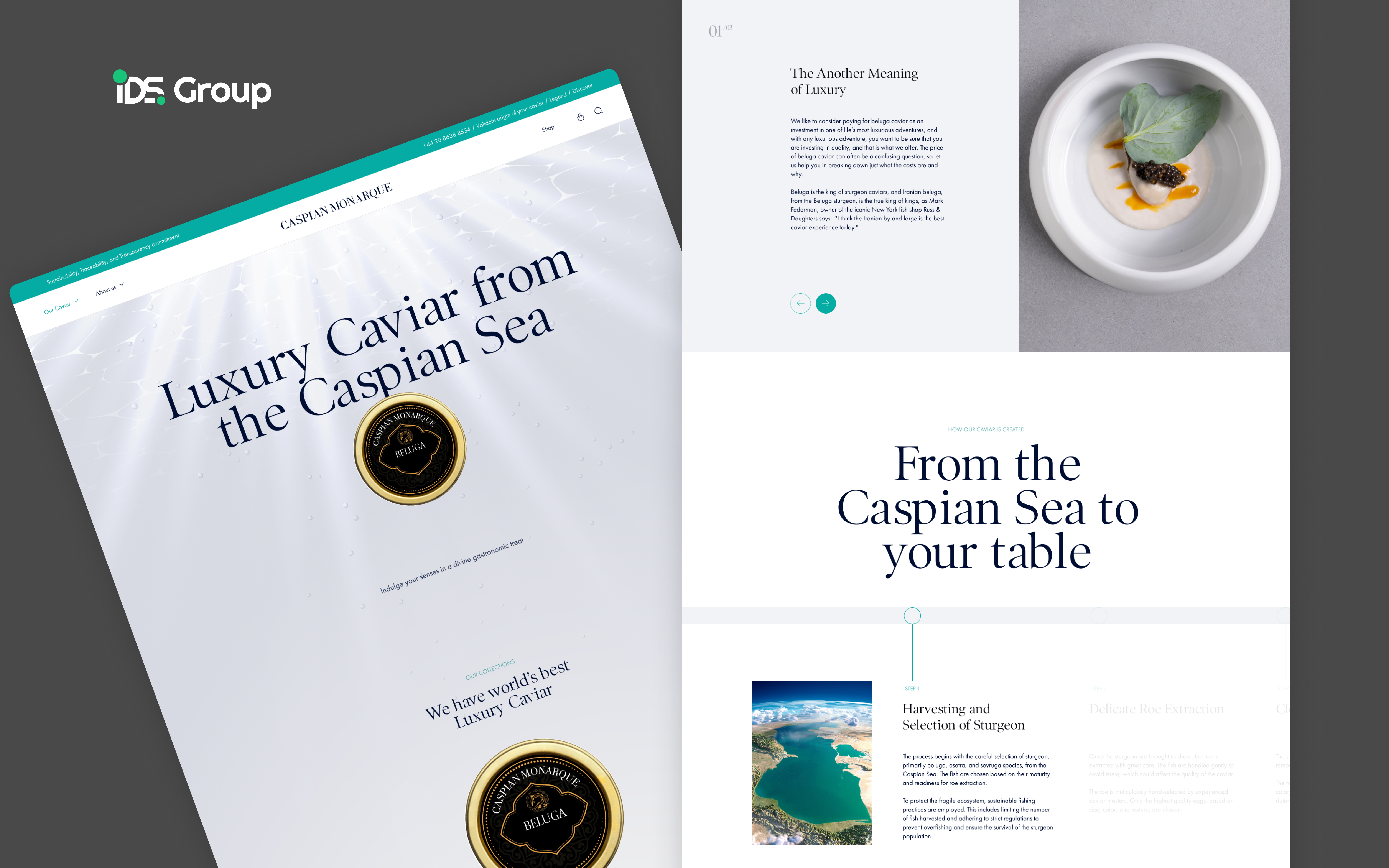 Caspian Monarque design e commerce landing page ui ux